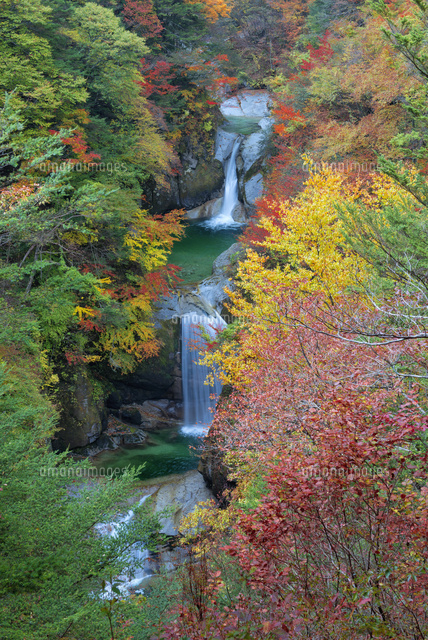秋の尾白川渓谷 神蛇滝
(c)YOSHITSUGU NISHIGAKI/SEBUN PHOTO