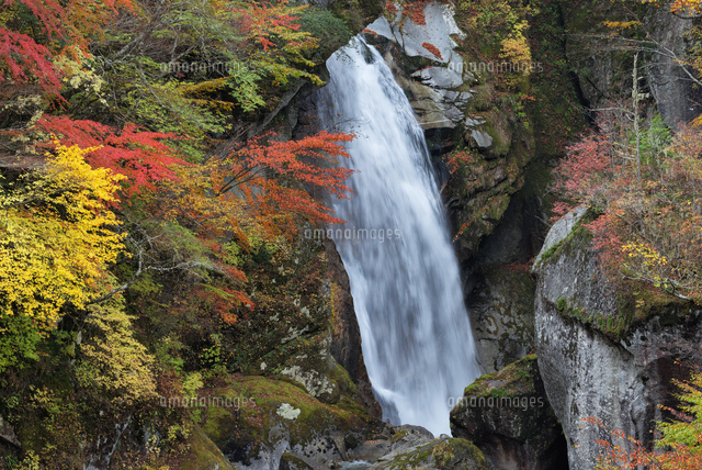 秋の尾白川渓谷 不動滝
(c)YOSHITSUGU NISHIGAKI/SEBUN PHOTO