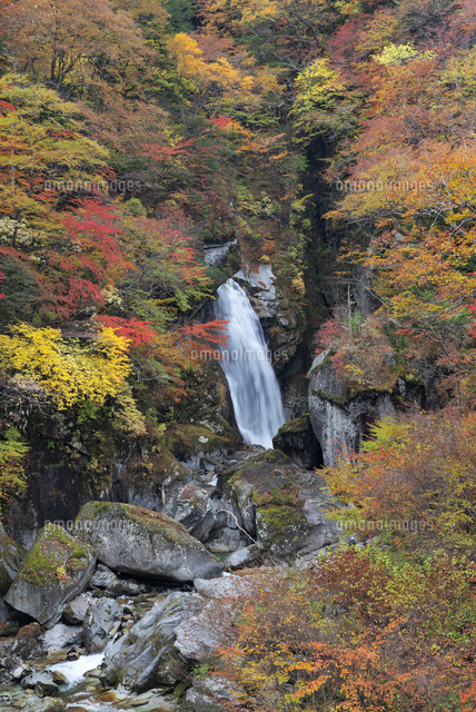 秋の尾白川渓谷 不動滝
(c)YOSHITSUGU NISHIGAKI/SEBUN PHOTO