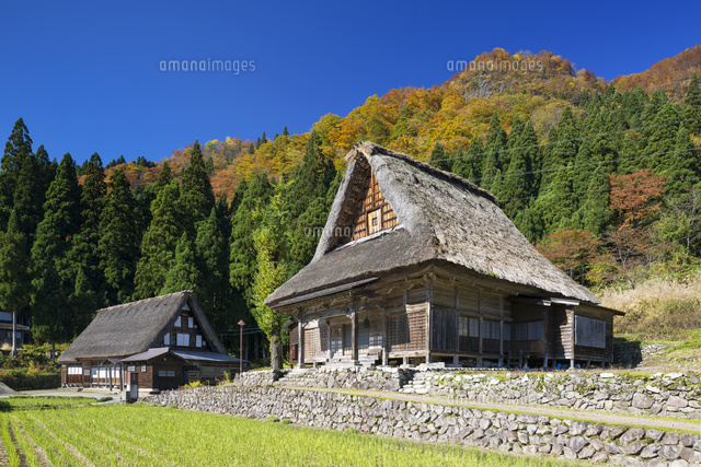 秋の五箇山
(c)YOSHITSUGU NISHIGAKI/SEBUN PHOTO