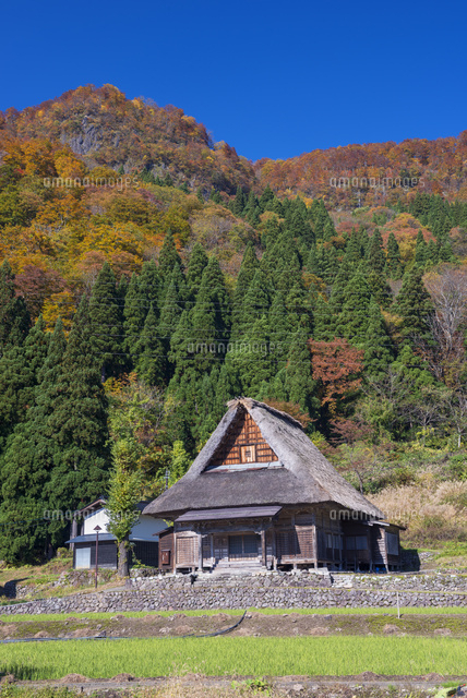 秋の五箇山
(c)YOSHITSUGU NISHIGAKI/SEBUN PHOTO