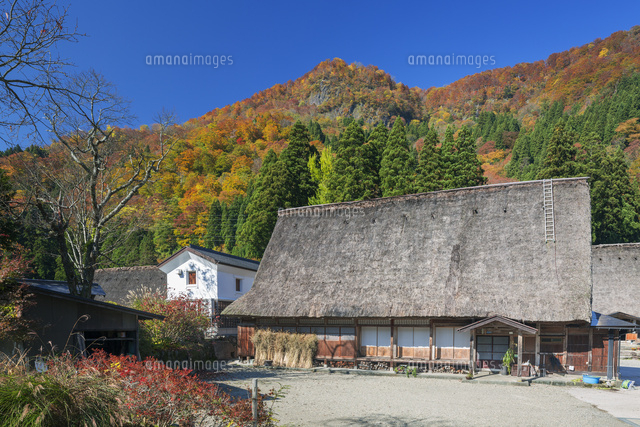 秋の五箇山
(c)YOSHITSUGU NISHIGAKI/SEBUN PHOTO