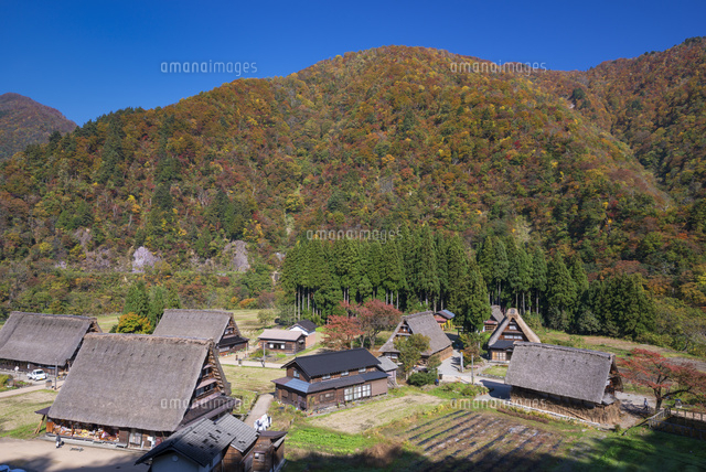 秋の五箇山
(c)YOSHITSUGU NISHIGAKI/SEBUN PHOTO