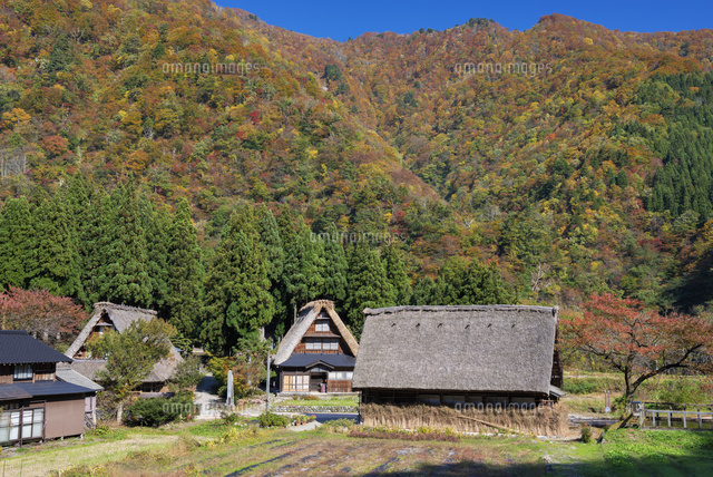 秋の五箇山
(c)YOSHITSUGU NISHIGAKI/SEBUN PHOTO