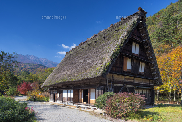秋の白川郷
(c)YOSHITSUGU NISHIGAKI/SEBUN PHOTO
