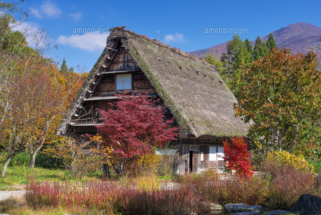 秋の白川郷
(c)YOSHITSUGU NISHIGAKI/SEBUN PHOTO