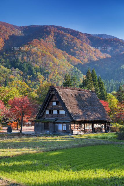 秋の白川郷
(c)YOSHITSUGU NISHIGAKI/SEBUN PHOTO