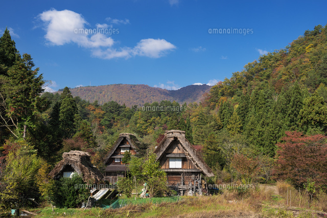 秋の白川郷
(c)YOSHITSUGU NISHIGAKI/SEBUN PHOTO