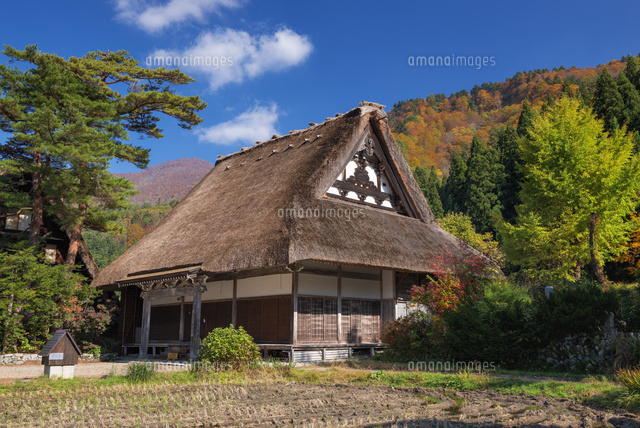 秋の白川郷
(c)YOSHITSUGU NISHIGAKI/SEBUN PHOTO