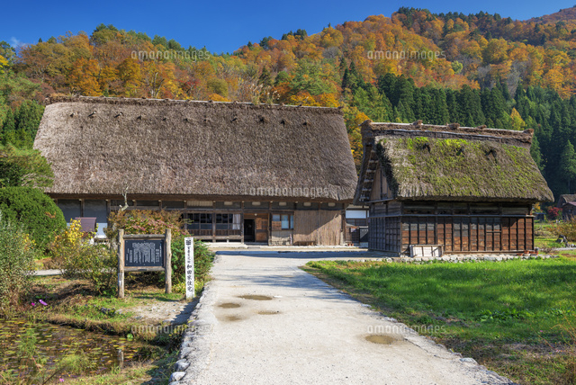 秋の白川郷
(c)YOSHITSUGU NISHIGAKI/SEBUN PHOTO