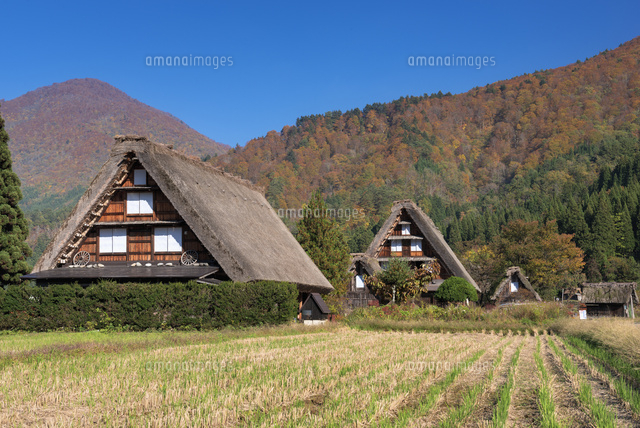 秋の白川郷
(c)YOSHITSUGU NISHIGAKI/SEBUN PHOTO