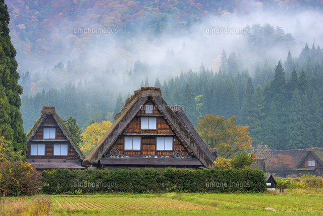 秋の白川郷
(c)YOSHITSUGU NISHIGAKI/SEBUN PHOTO