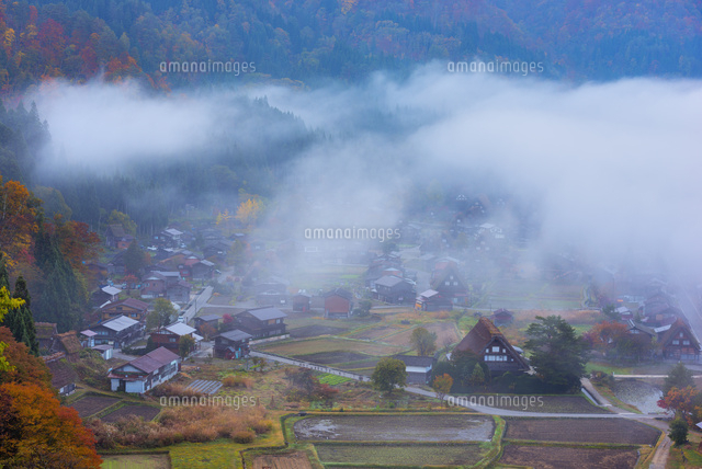 秋の白川郷と朝の雲海
(c)YOSHITSUGU NISHIGAKI/SEBUN PHOTO