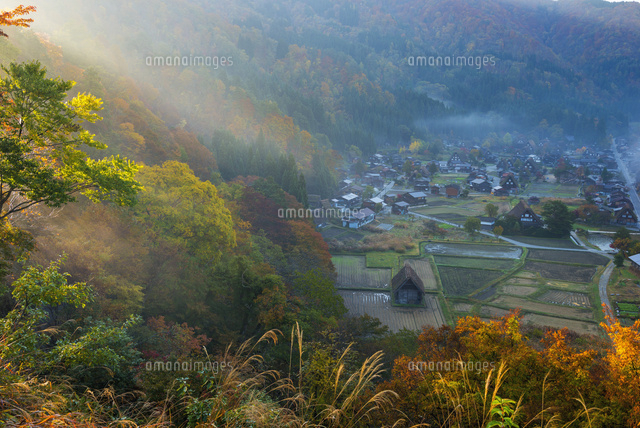 朝の白川郷と紅葉
(c)YOSHITSUGU NISHIGAKI/SEBUN PHOTO