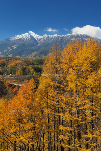 紅葉と開田高原より御嶽山
(c)YOSHITSUGU NISHIGAKI/SEBUN PHOTO