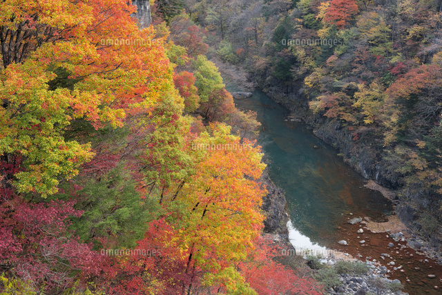 紅葉と王滝川
(c)YOSHITSUGU NISHIGAKI/SEBUN PHOTO