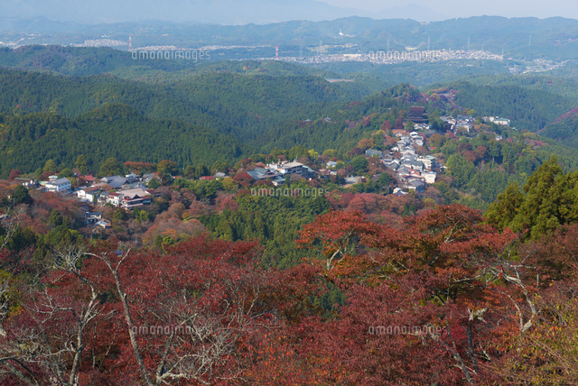 紅葉の吉野山
(c)YOSHITSUGU NISHIGAKI/SEBUN PHOTO