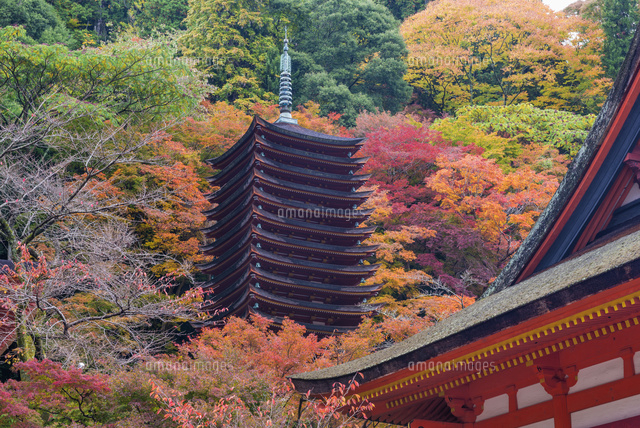 秋の談山神社
(c)YOSHITSUGU NISHIGAKI/SEBUN PHOTO