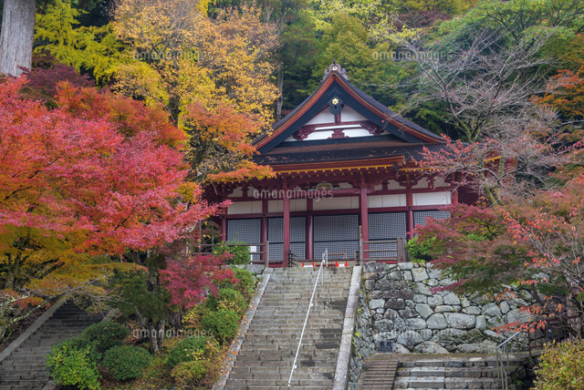 秋の談山神社
(c)YOSHITSUGU NISHIGAKI/SEBUN PHOTO