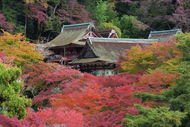 秋の談山神社
(c)YOSHITSUGU NISHIGAKI/SEBUN PHOTO