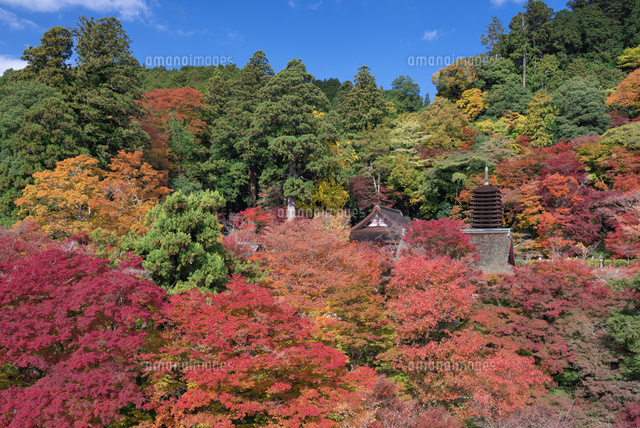 秋の談山神社
(c)YOSHITSUGU NISHIGAKI/SEBUN PHOTO