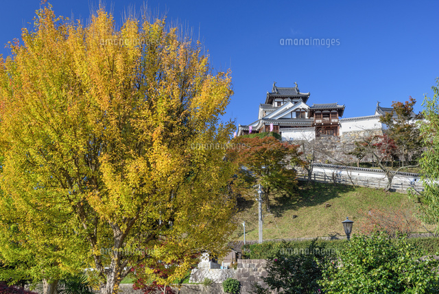 秋の福知山城
(c)YOSHITSUGU NISHIGAKI/SEBUN PHOTO