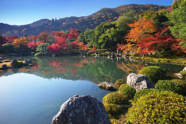紅葉の天龍寺
(c)YOSHITSUGU NISHIGAKI/SEBUN PHOTO