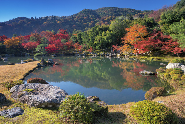 紅葉の天龍寺
(c)YOSHITSUGU NISHIGAKI/SEBUN PHOTO