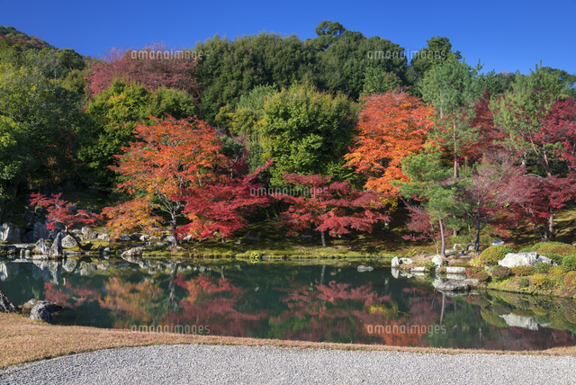 紅葉の天龍寺
(c)YOSHITSUGU NISHIGAKI/SEBUN PHOTO