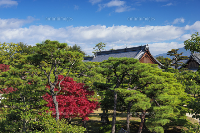 紅葉の二条城本丸庭園
(c)YOSHITSUGU NISHIGAKI/SEBUN PHOTO