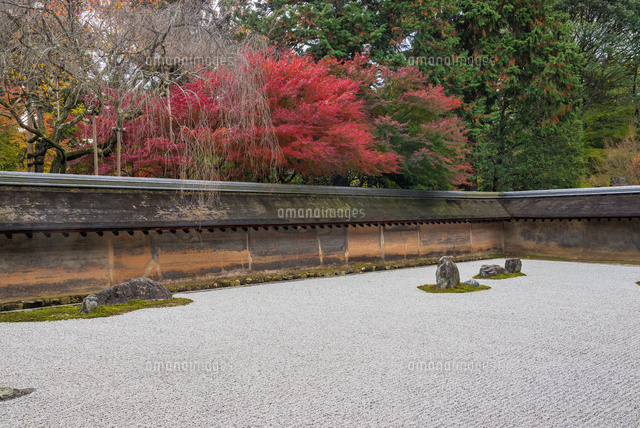 紅葉の龍安寺石庭
(c)YOSHITSUGU NISHIGAKI/SEBUN PHOTO