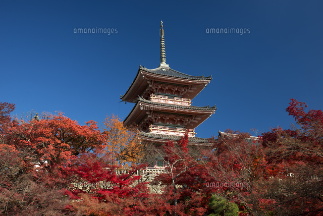 紅葉の清水寺三重塔
(c)YOSHITSUGU NISHIGAKI/SEBUN PHOTO