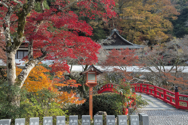 秋の箕面山瀧安寺
(c)YOSHITSUGU NISHIGAKI/SEBUN PHOTO