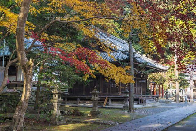 秋の箕面山瀧安寺
(c)YOSHITSUGU NISHIGAKI/SEBUN PHOTO