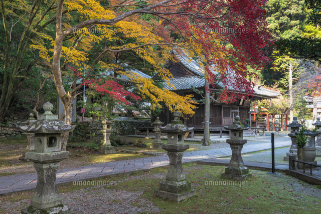 秋の箕面山瀧安寺
(c)YOSHITSUGU NISHIGAKI/SEBUN PHOTO