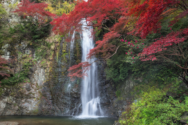 秋の箕面滝
(c)YOSHITSUGU NISHIGAKI/SEBUN PHOTO