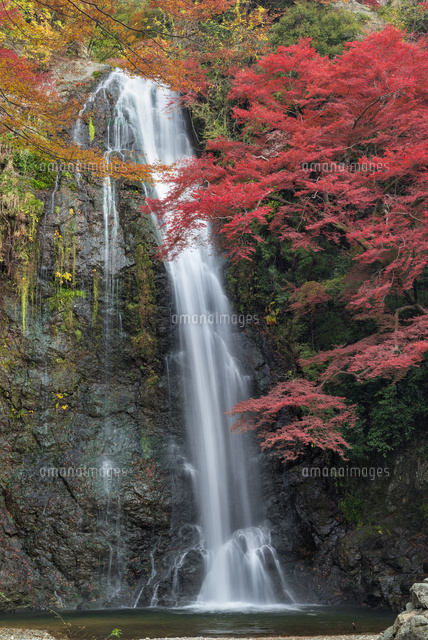 秋の箕面滝
(c)YOSHITSUGU NISHIGAKI/SEBUN PHOTO
