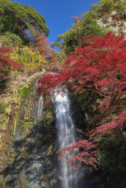秋の箕面滝
(c)YOSHITSUGU NISHIGAKI/SEBUN PHOTO