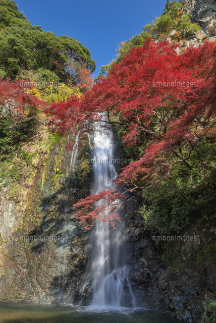 秋の箕面滝
(c)YOSHITSUGU NISHIGAKI/SEBUN PHOTO