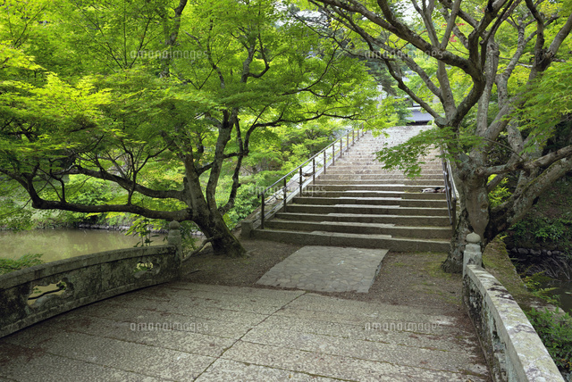 新緑の円通寺
(c)YOSHITSUGU NISHIGAKI/SEBUN PHOTO