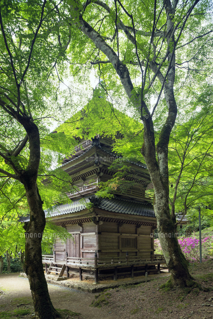 高源寺多宝塔
(c)YOSHITSUGU NISHIGAKI/SEBUN PHOTO