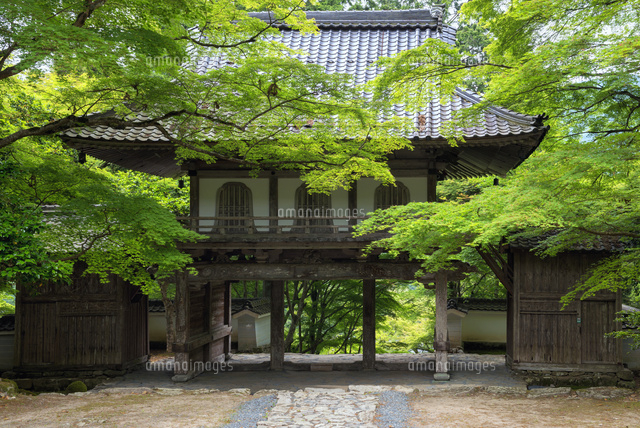 高源寺山門
(c)YOSHITSUGU NISHIGAKI/SEBUN PHOTO