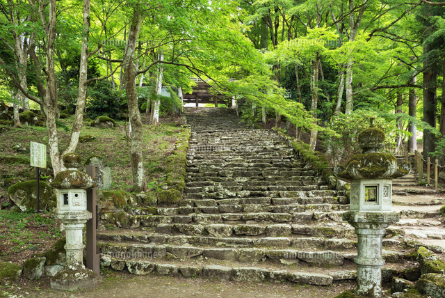 新緑の高源寺
(c)YOSHITSUGU NISHIGAKI/SEBUN PHOTO