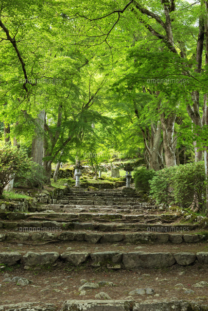 新緑の高源寺
(c)YOSHITSUGU NISHIGAKI/SEBUN PHOTO