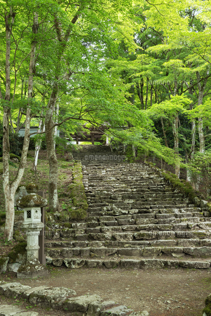 新緑の高源寺
(c)YOSHITSUGU NISHIGAKI/SEBUN PHOTO