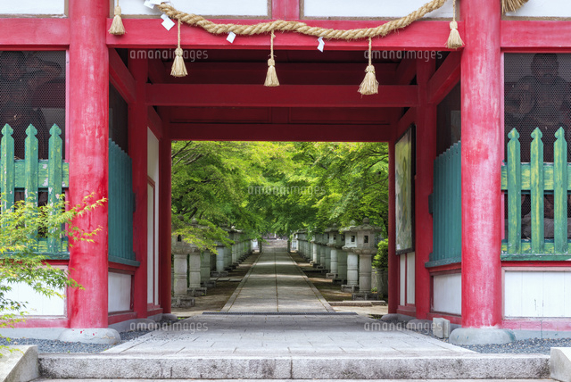 新緑の高山寺
(c)YOSHITSUGU NISHIGAKI/SEBUN PHOTO