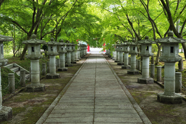新緑の高山寺
(c)YOSHITSUGU NISHIGAKI/SEBUN PHOTO