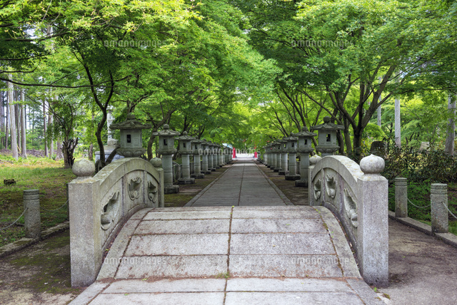 新緑の高山寺
(c)YOSHITSUGU NISHIGAKI/SEBUN PHOTO
