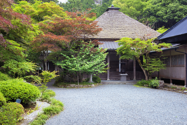 新緑の岩瀧寺本堂
(c)YOSHITSUGU NISHIGAKI/SEBUN PHOTO