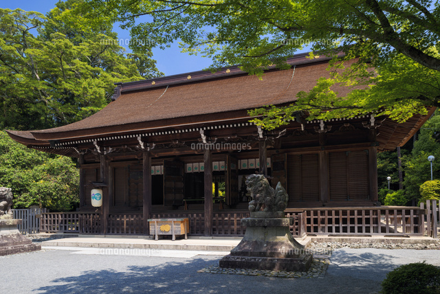 多田神社 拝殿
(c)YOSHITSUGU NISHIGAKI/SEBUN PHOTO